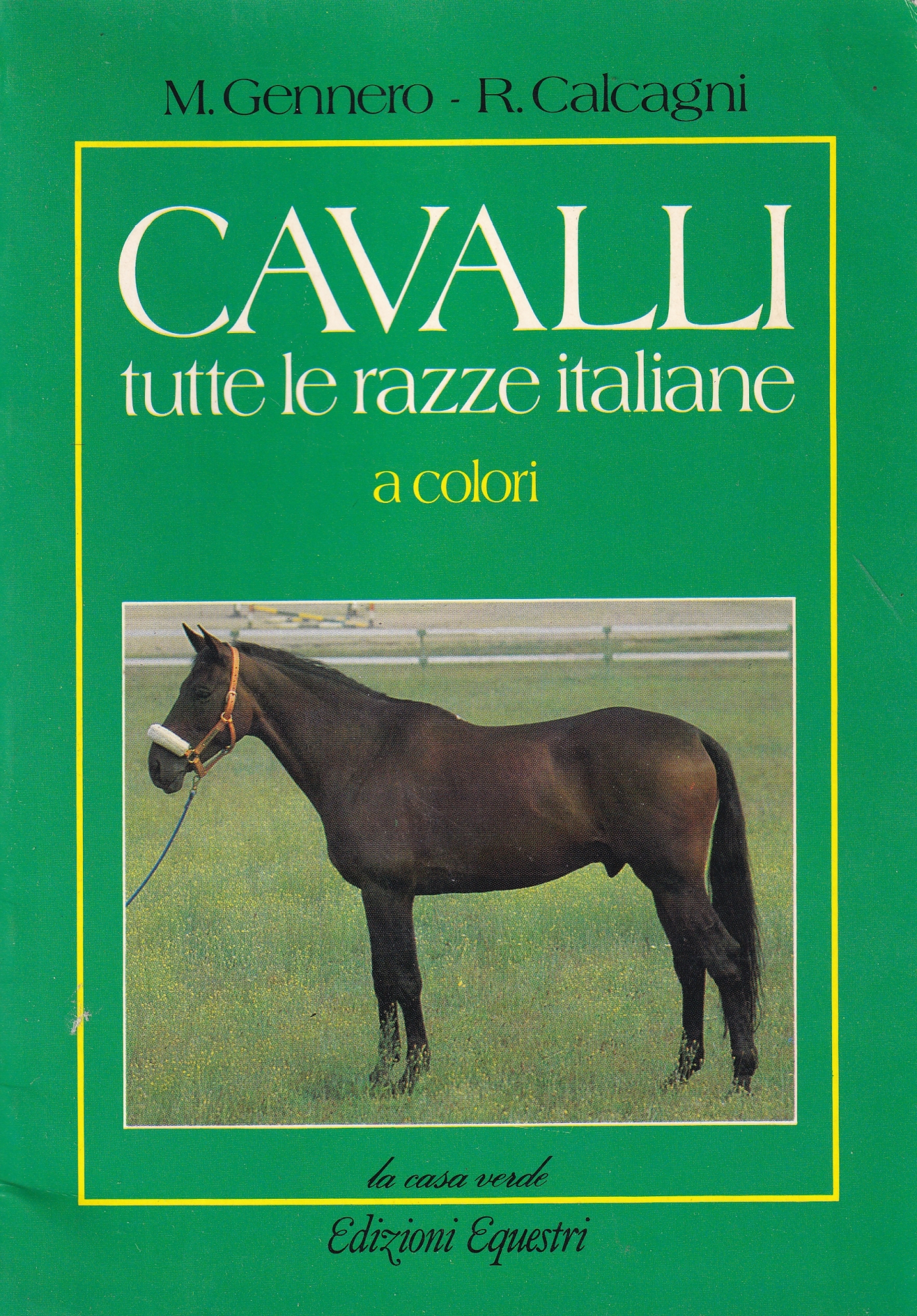 Cavalli: tutte le razze italiane A Colori