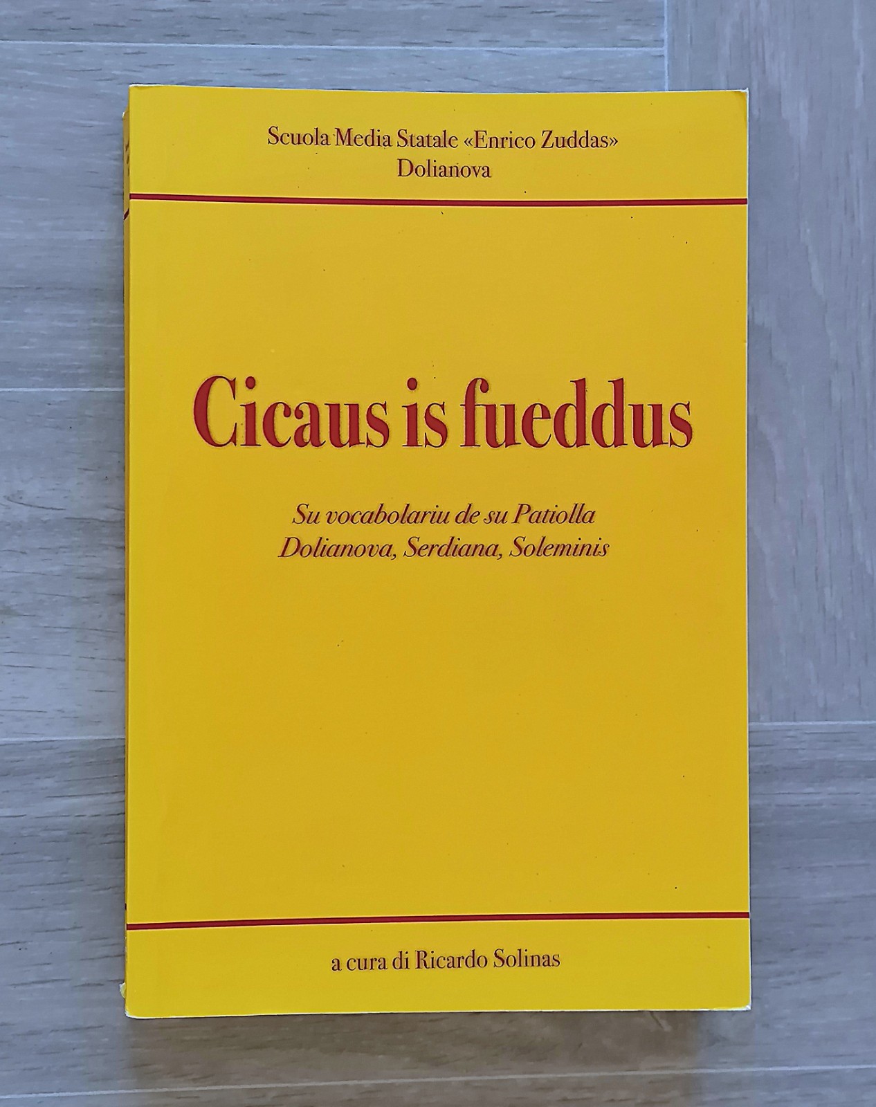 Cicaus is Fueddus - Su Vocabolariu de su Patiolla Dolianova …