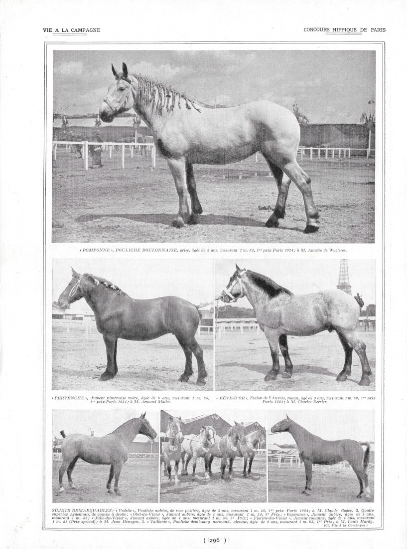 Concours Hippique de Paris - Immagine 1924
