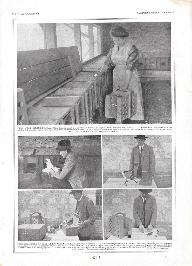 Conditionnement des eufs / Emballage des eufs - Immagine 1923