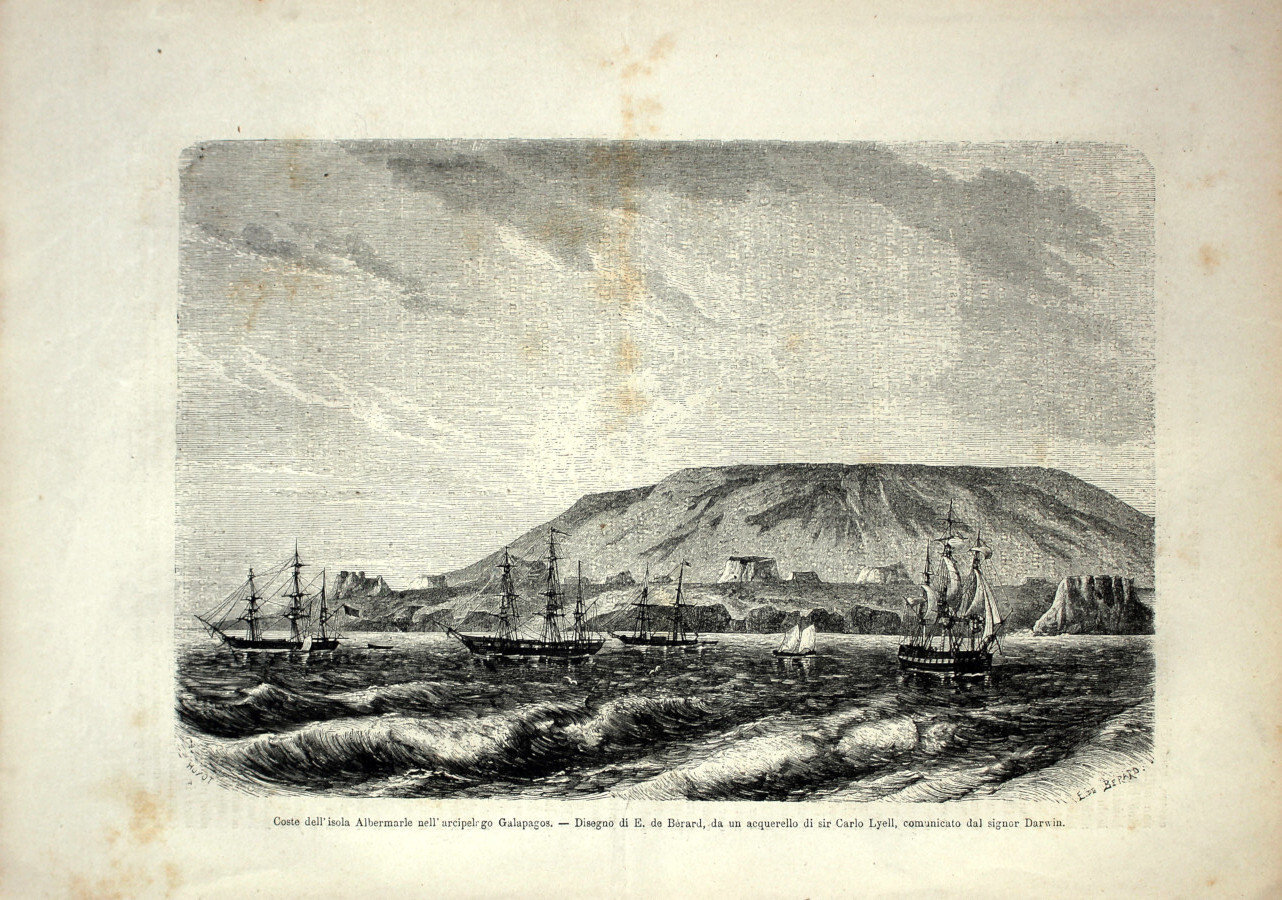 Coste dell'isola Albermarle nell'arcipelago delle Galapagos. Stampa 1864