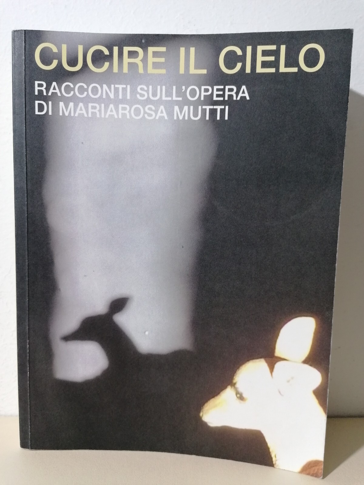 Cucire Il Cielo Racconti Sull'Opera Di Mariarosa Mutti AUTOGRAFATO Dedica …