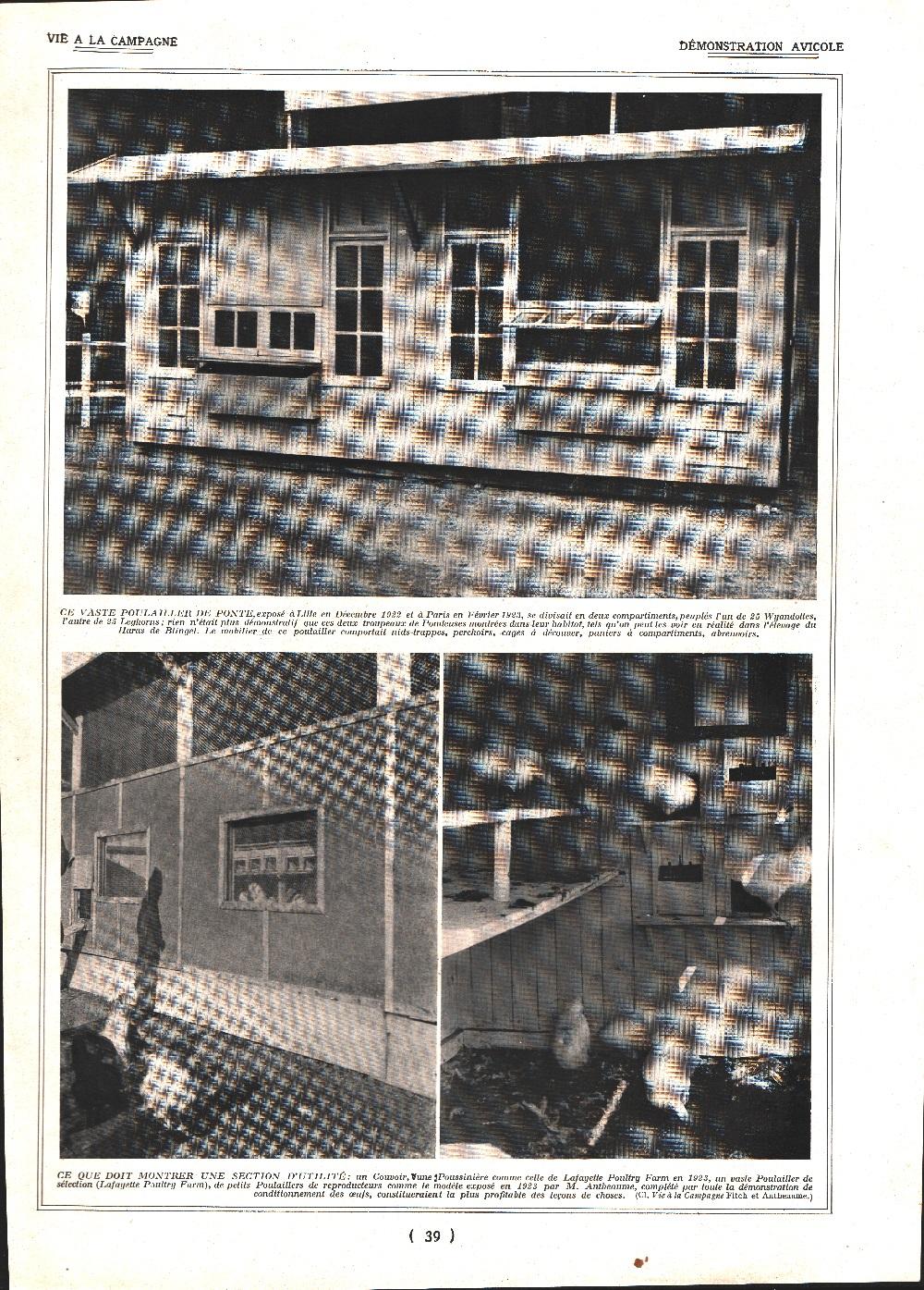 Demonstration avicole /Jardin rustique. Stampa 1924