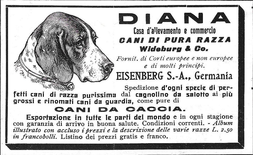 Diana. Cani da Caccia. Eisenberg S.A. Germania. Advertising 1912
