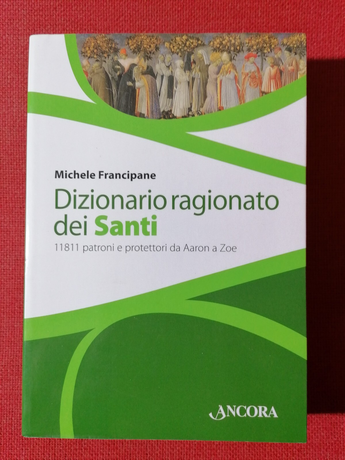 Dizionario Ragionato dei Santi Libro Francipane 11811 Patroni da Aaron …