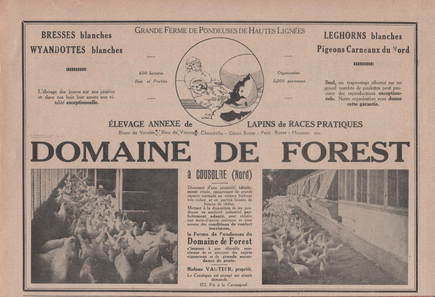 Domaine de Forest, Cousolre. Advertising 1926