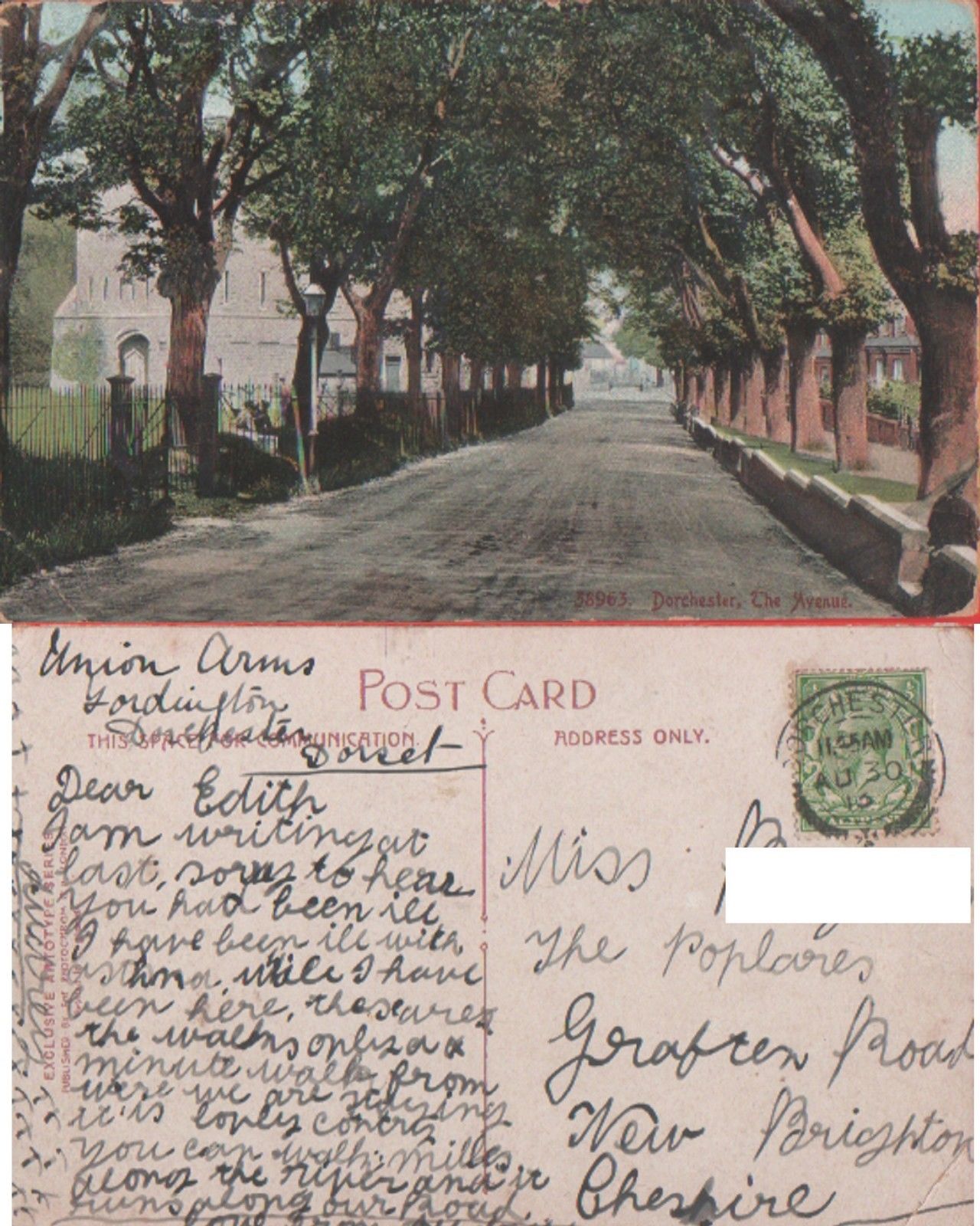 Dorchester (England). The avenue. Viaggiata 1913