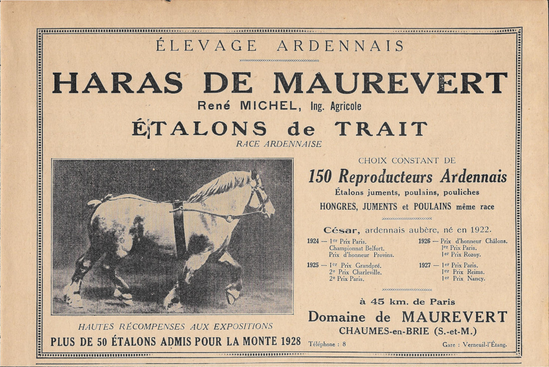 Elevage Ardennas Haras de Maurevert - Advertising 1928
