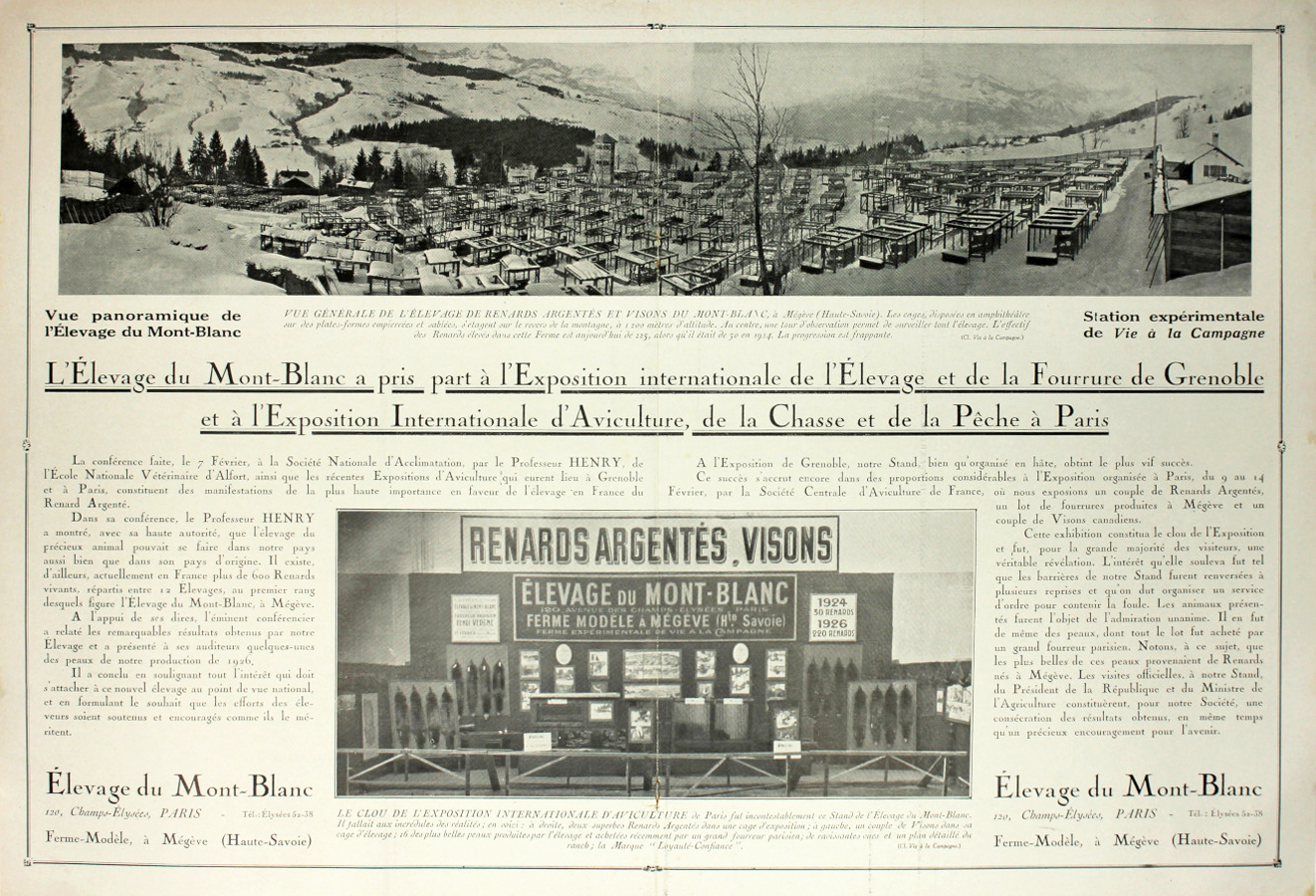 Elevage du Mont-Blanc, Megeve. Renards Argentes, visons. Advertising 1927