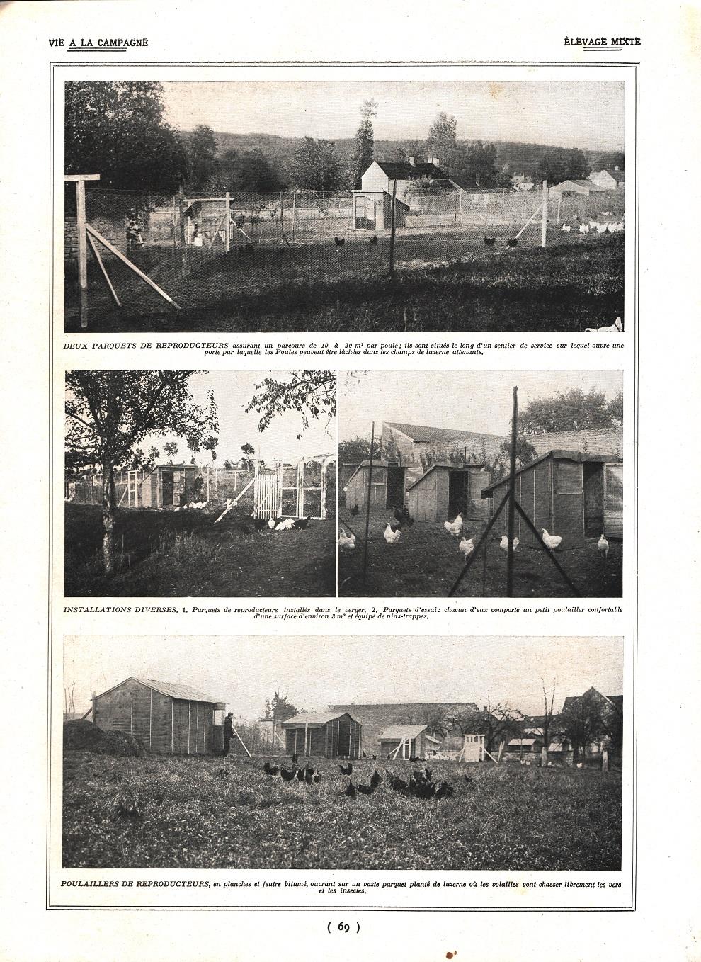 Elevage mixtè. Stampa 1924