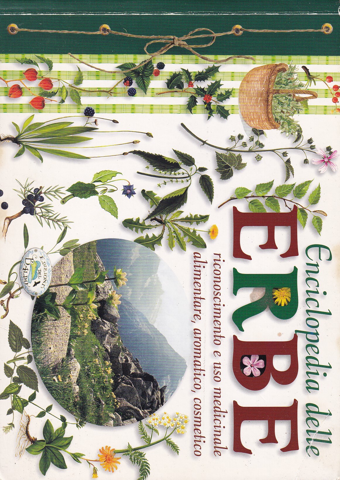 Enciclopedia delle erbe. Riconoscimento e uso medicinale alimentare, aromatico, cosmetico