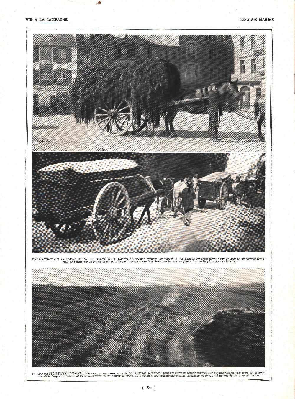 Engras marine / Pois de senteur. Stampa 1924