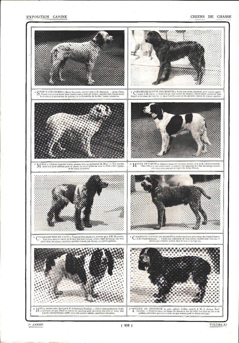 Exposition canine. Chiens de chasse. Stampa 1912