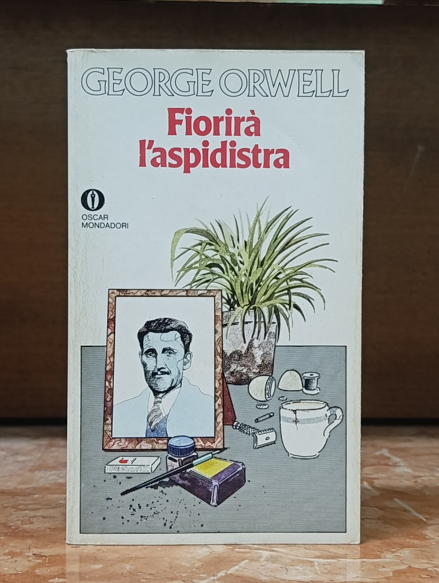 Fiorirà l'aspidistra