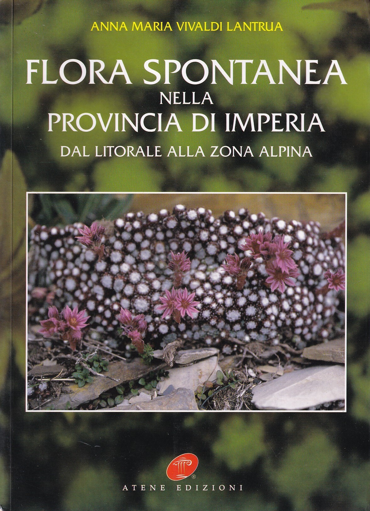 Flora spontanea nella provincia di Imperia dal litorale alla zona …