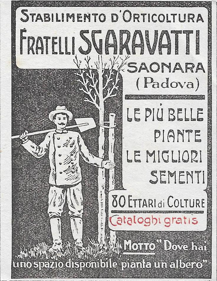 Fratelli Sgaravatti Saonara (PD). Advertising 1912