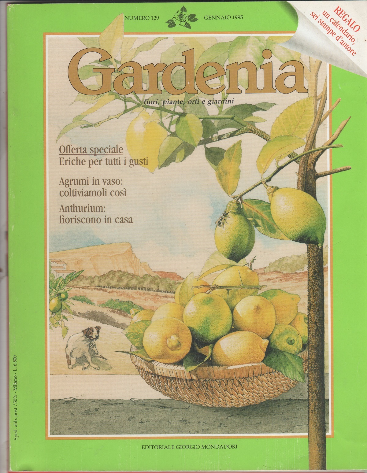 Gardenia rivista. n. 129. Gennaio 1995