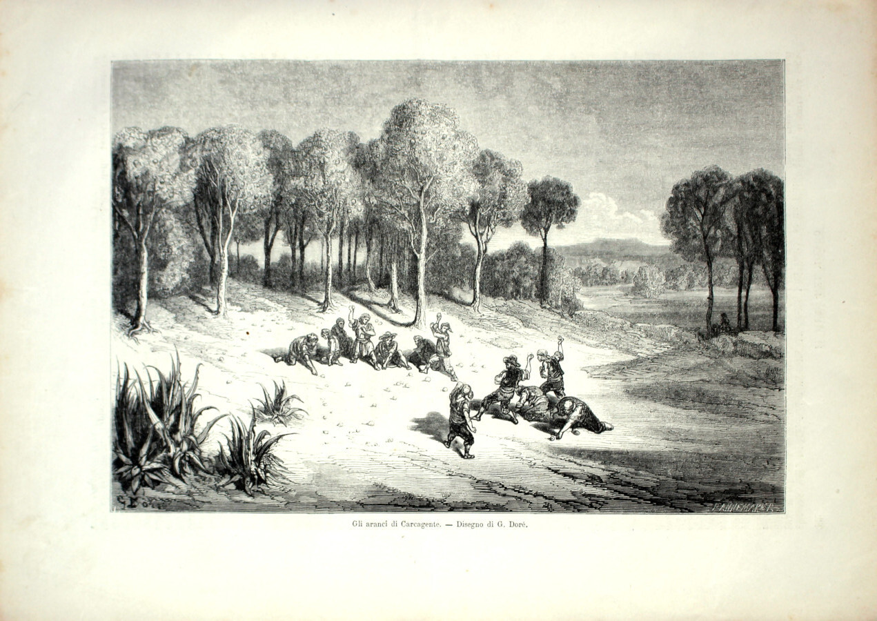 Gli aranci di Carcagente. Stampa 1864