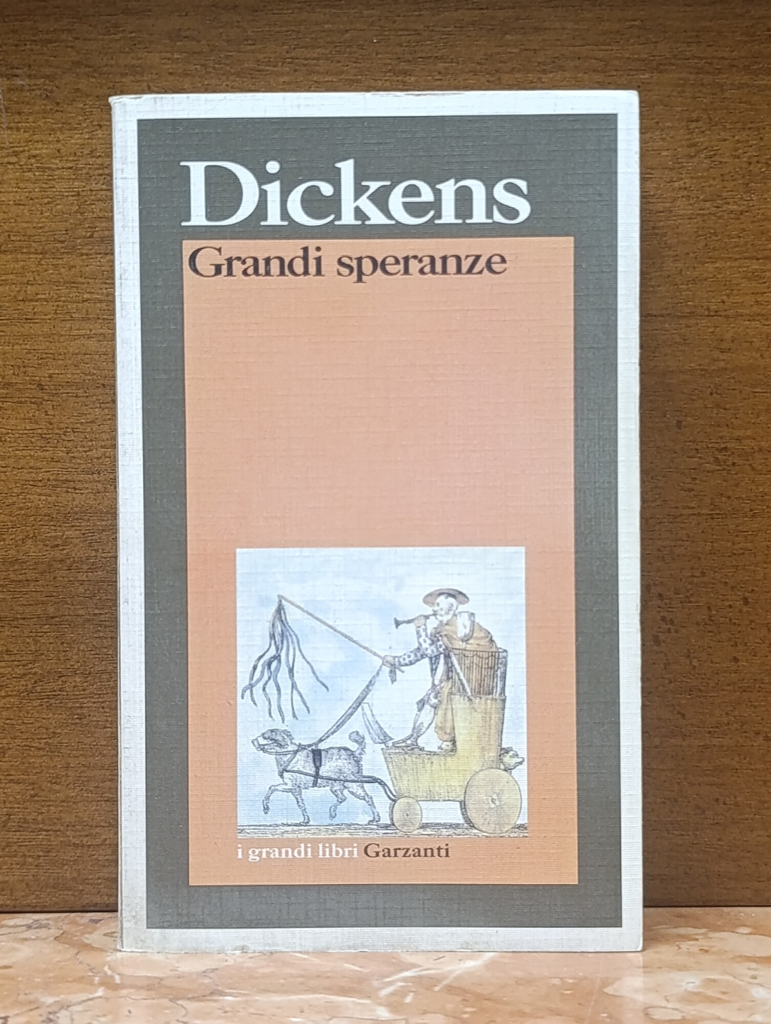 Grandi speranze. I Grandi Libri Garzanti