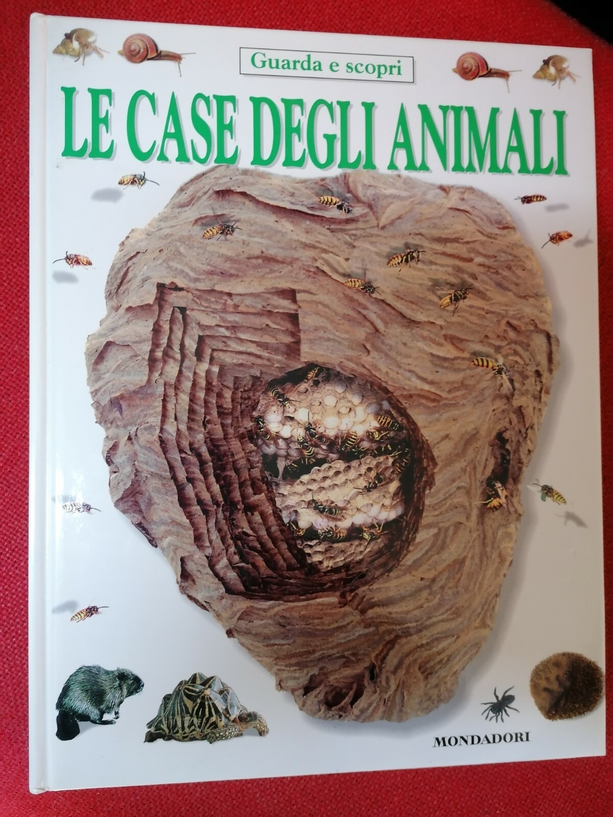 Guarda E Scopri Le Case Degli Animali Libri Per Ragazzi …