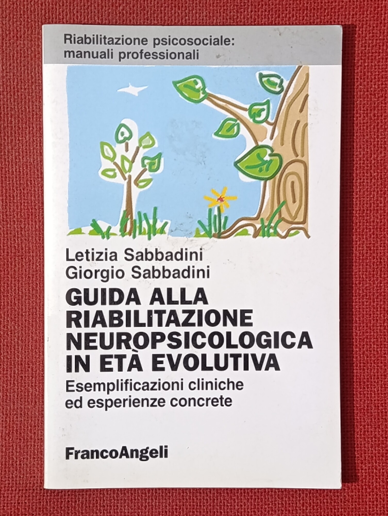 Guida alla riabilitazione neuropsicologica nell'età evolutiva : esemplificazioni cliniche ed …