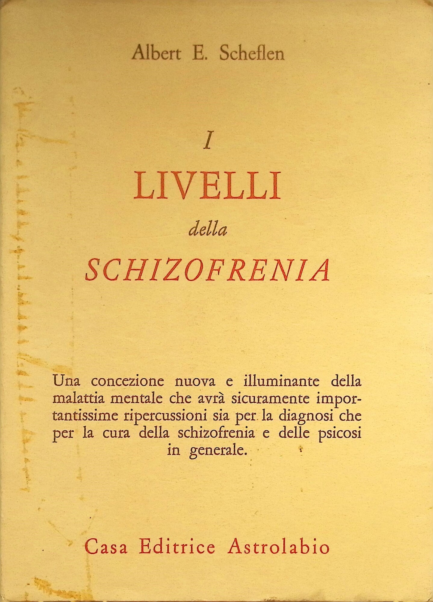 I livelli della schizofrenia