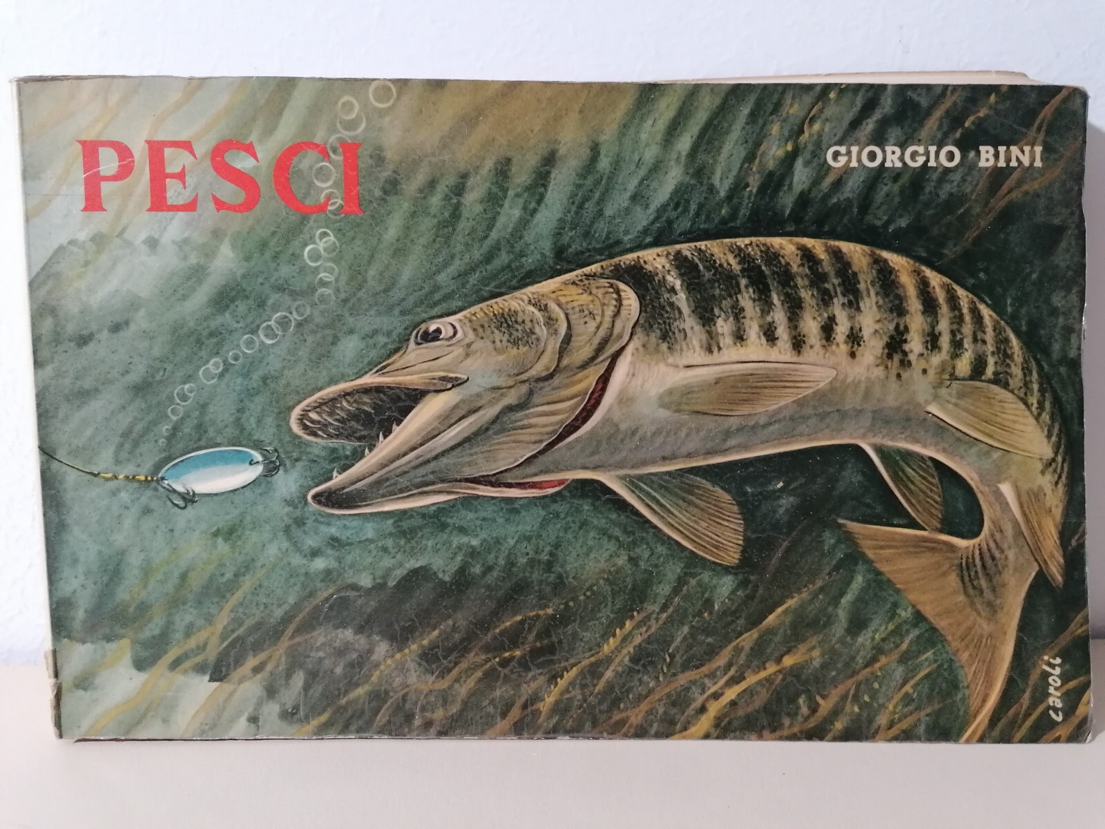 I Pesci Delle Acque Interne D'Italia Libro Giorgio Bini Disegni …