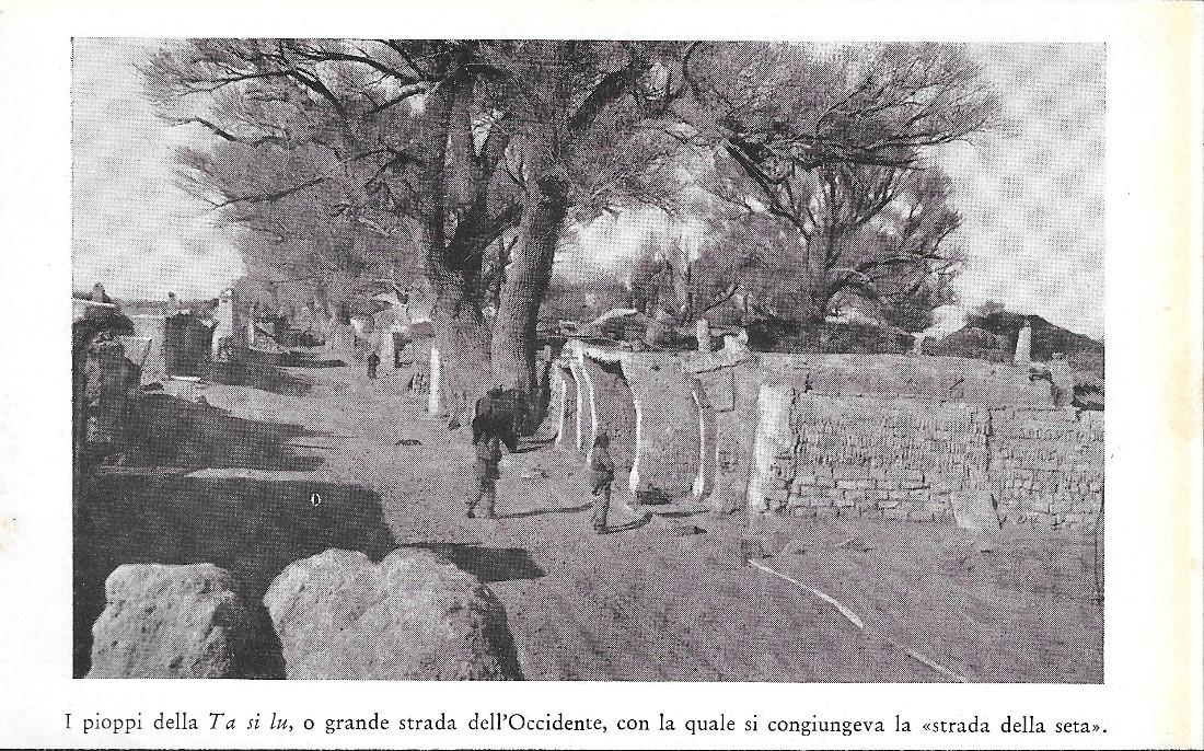 I pioppi della Ta si lu o grande strada dell'Occidente …