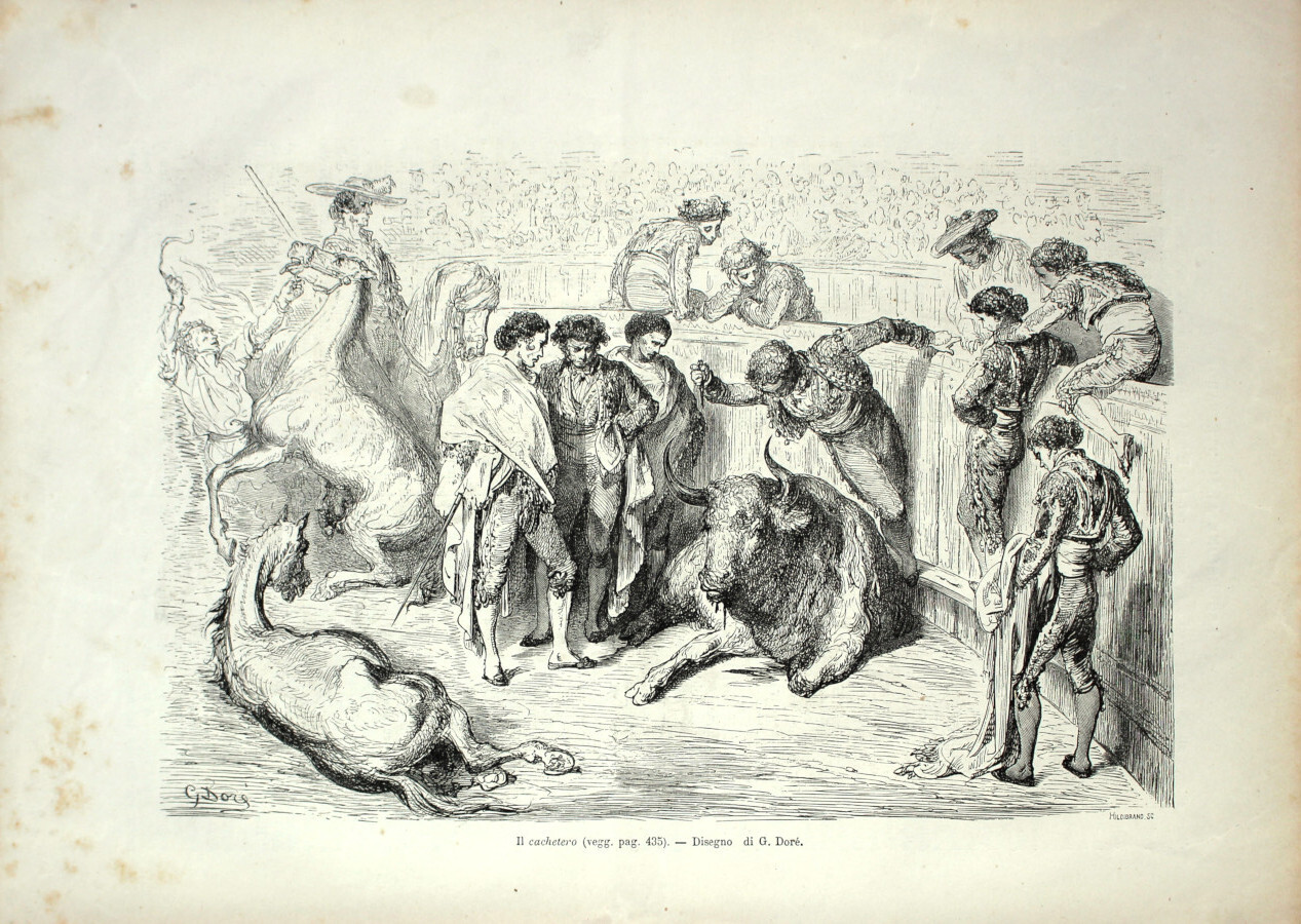 Il cachetero. Stampa 1864