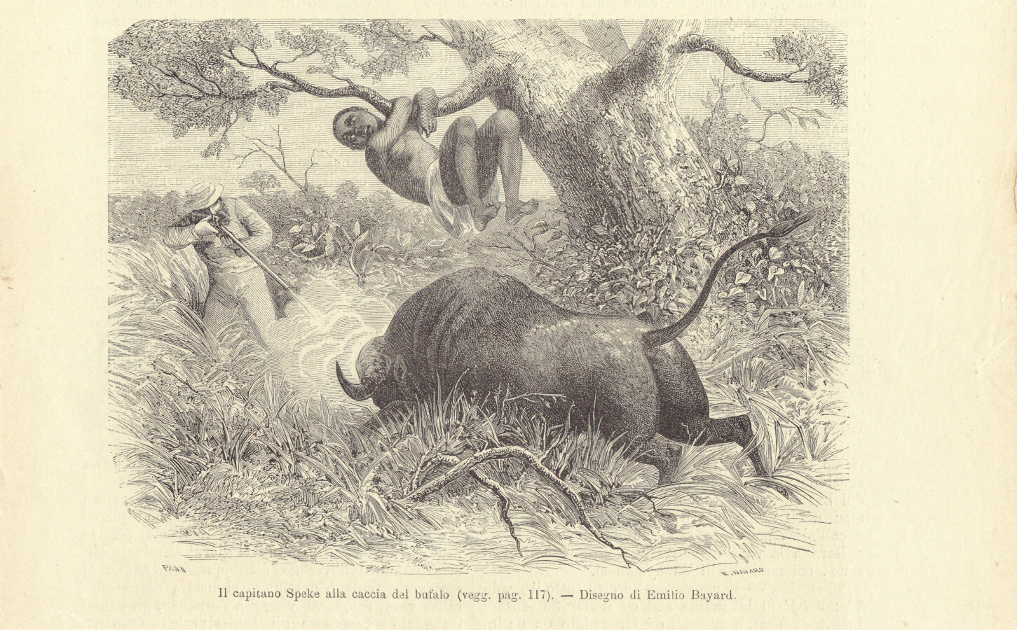 Il capitano Speke alla caccia del bufalo. Illustrazione 1864