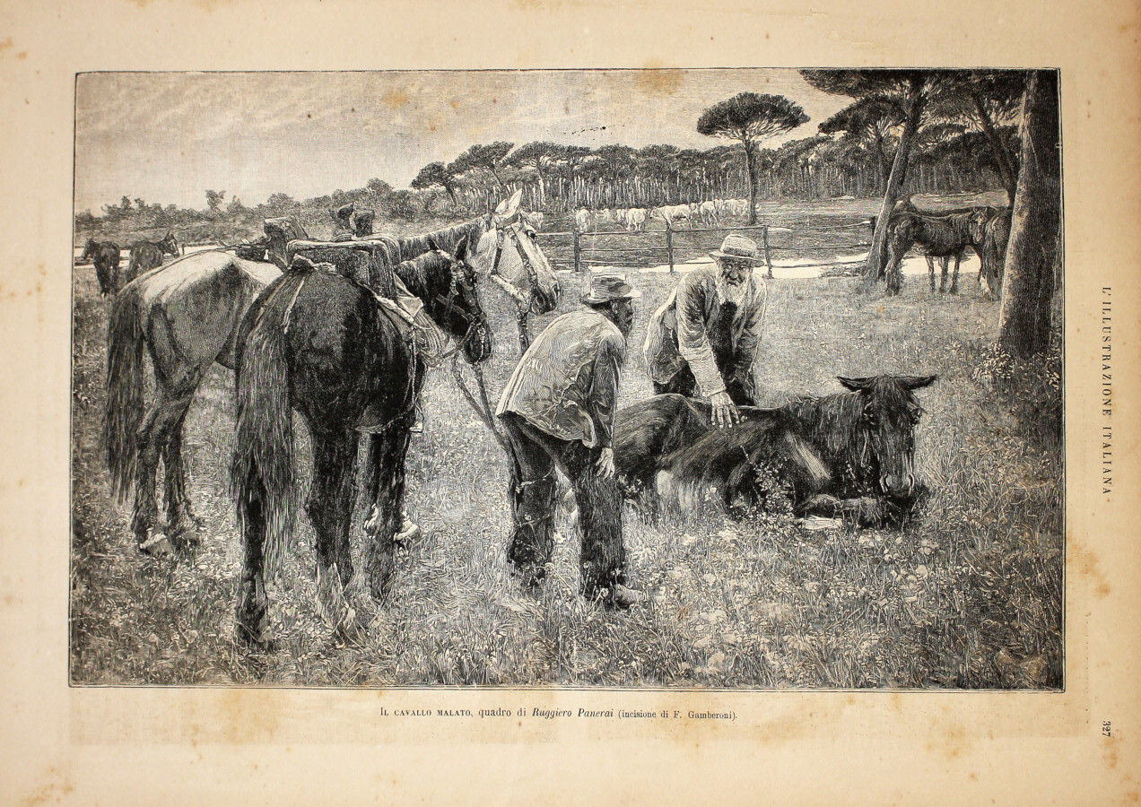 Il cavallo malato da un quadro di Ruggiero Panerai. Stampa …