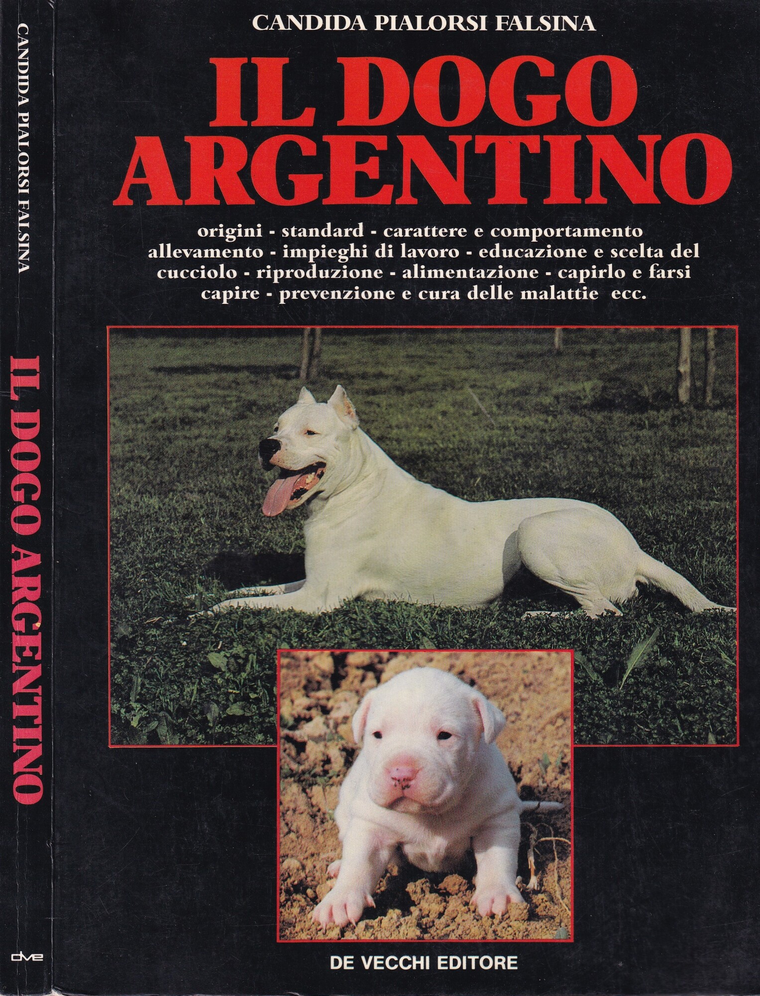 Il Dogo argentino