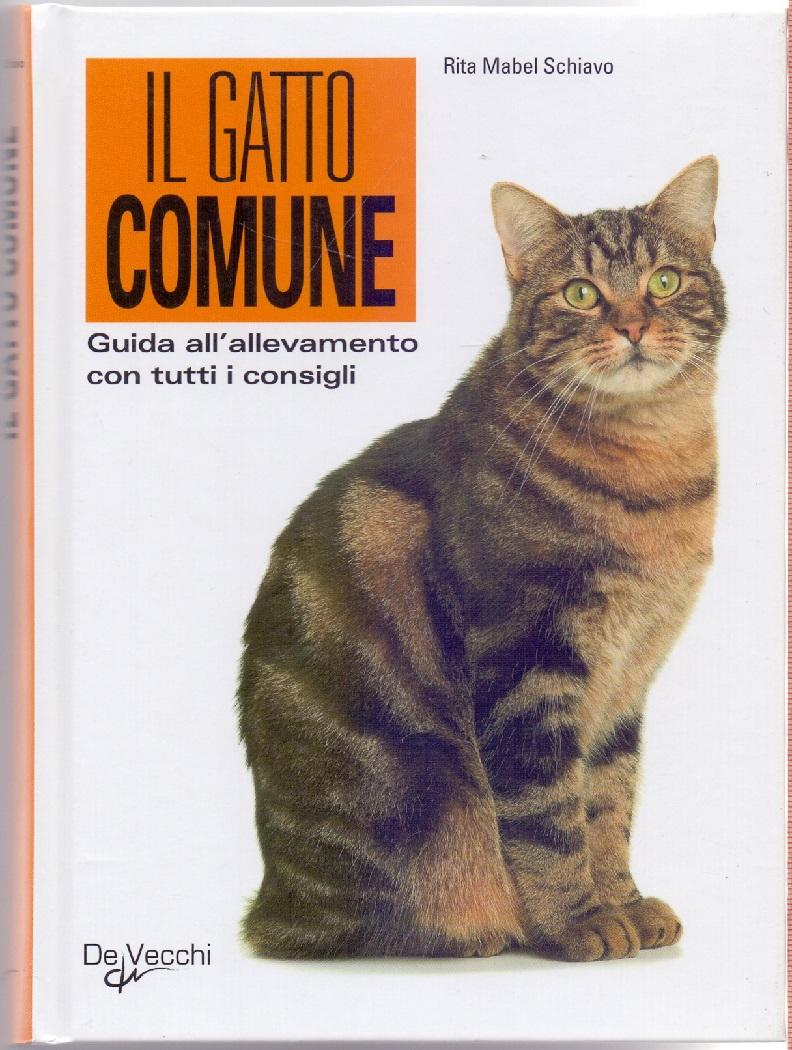 Il gatto comune Guida all'allevamento con tutti i consigli - …