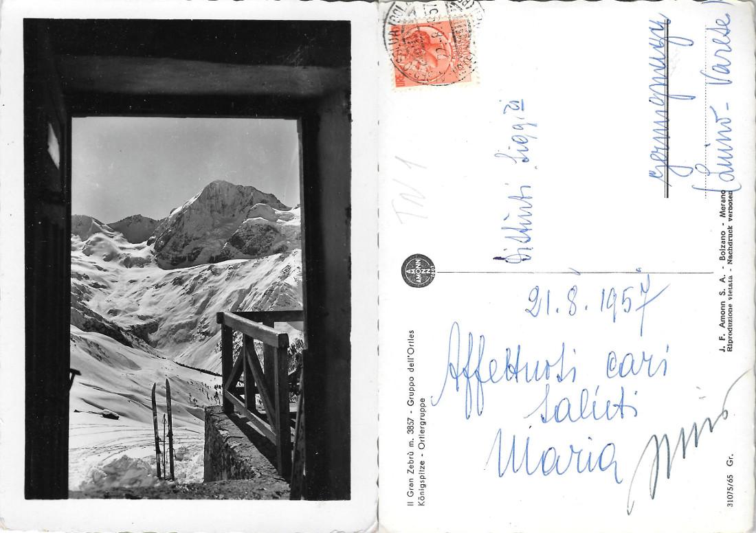 Il Gran Zebrù. Gruppo dell'Ortles. Viaggiata 1957