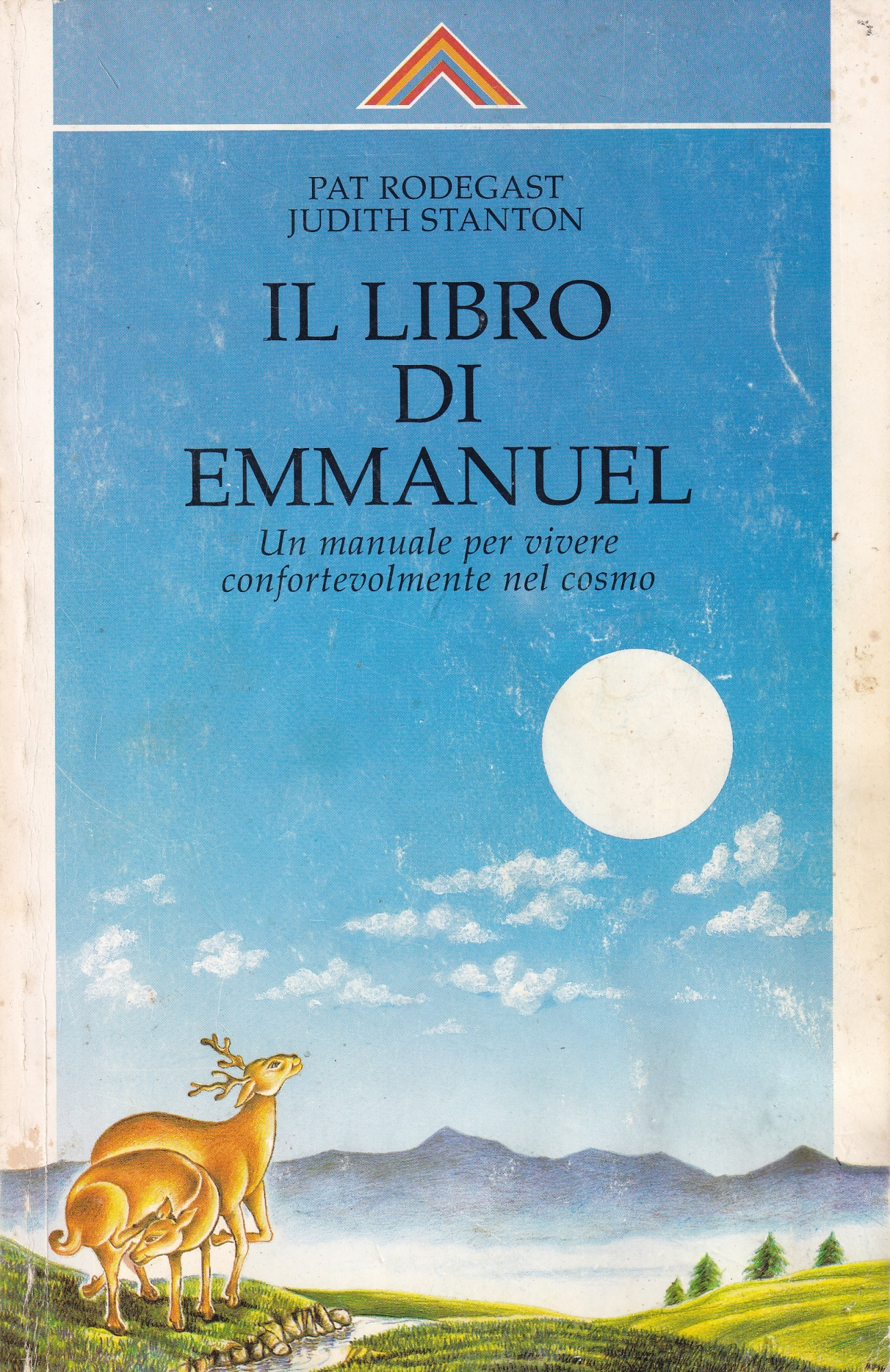 Il libro di Emmanuel. Un manuale per vivere confortevolmente nel …