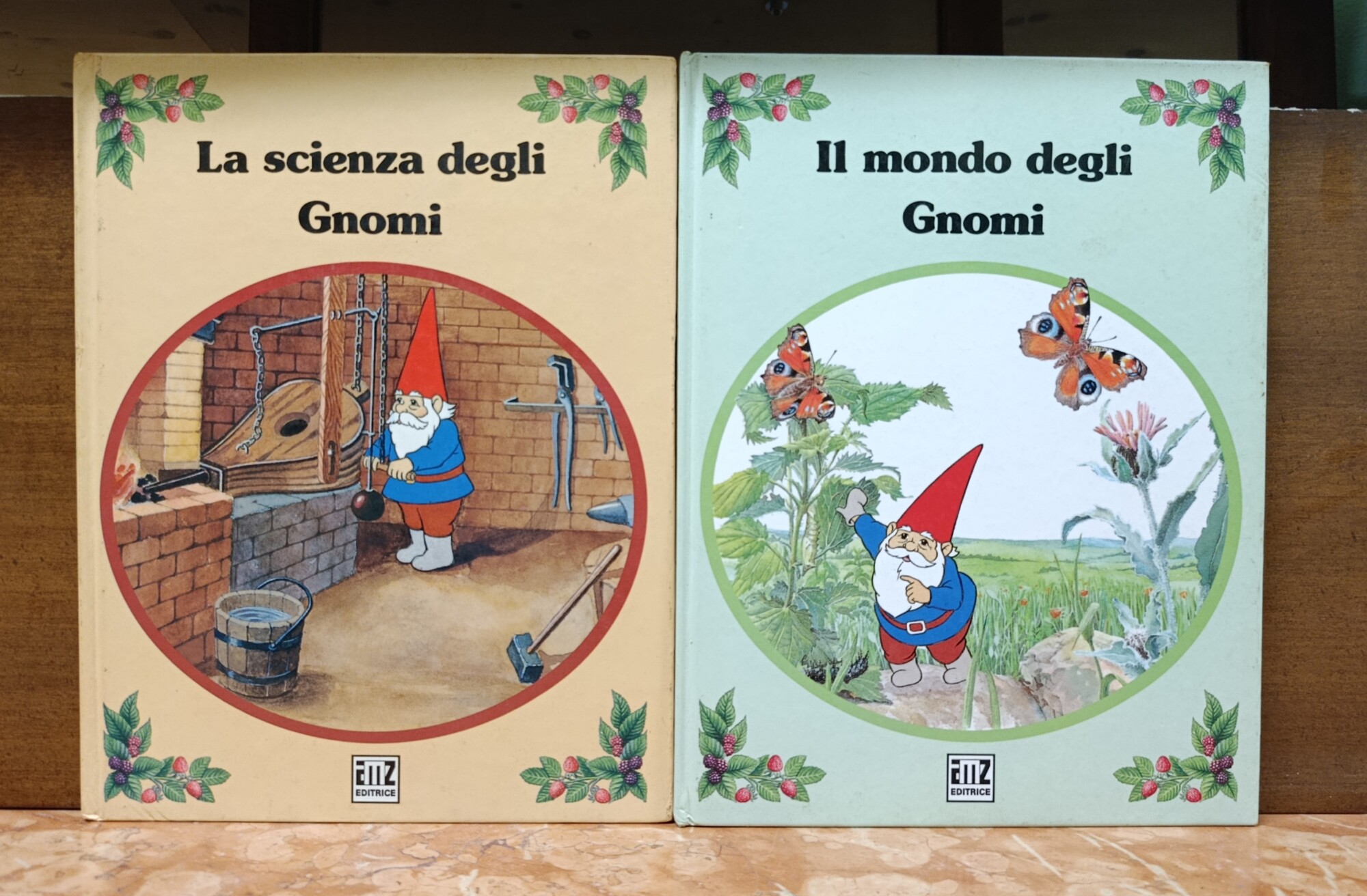 Il Mondo Degli Gnomi / La Scienza Degli Gnomi. Lotto …