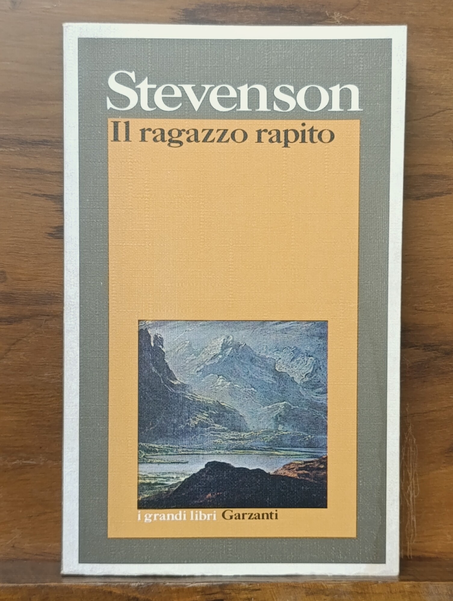 Il ragazzo rapito. I grandi libri Garzanti