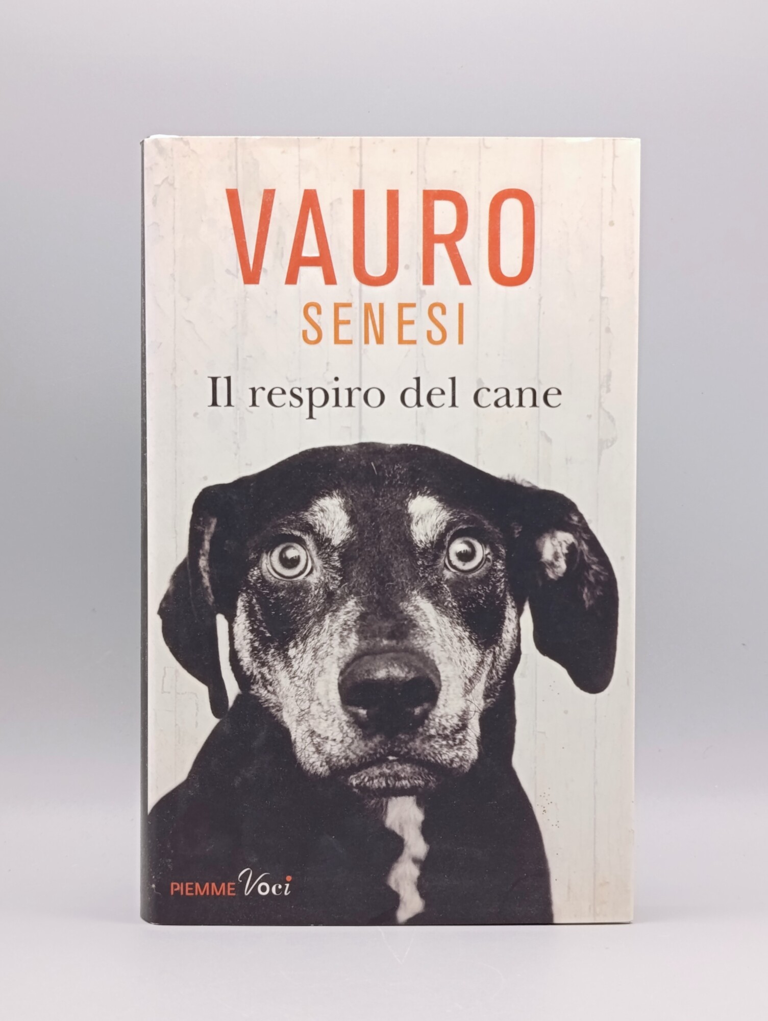 Il respiro del cane
