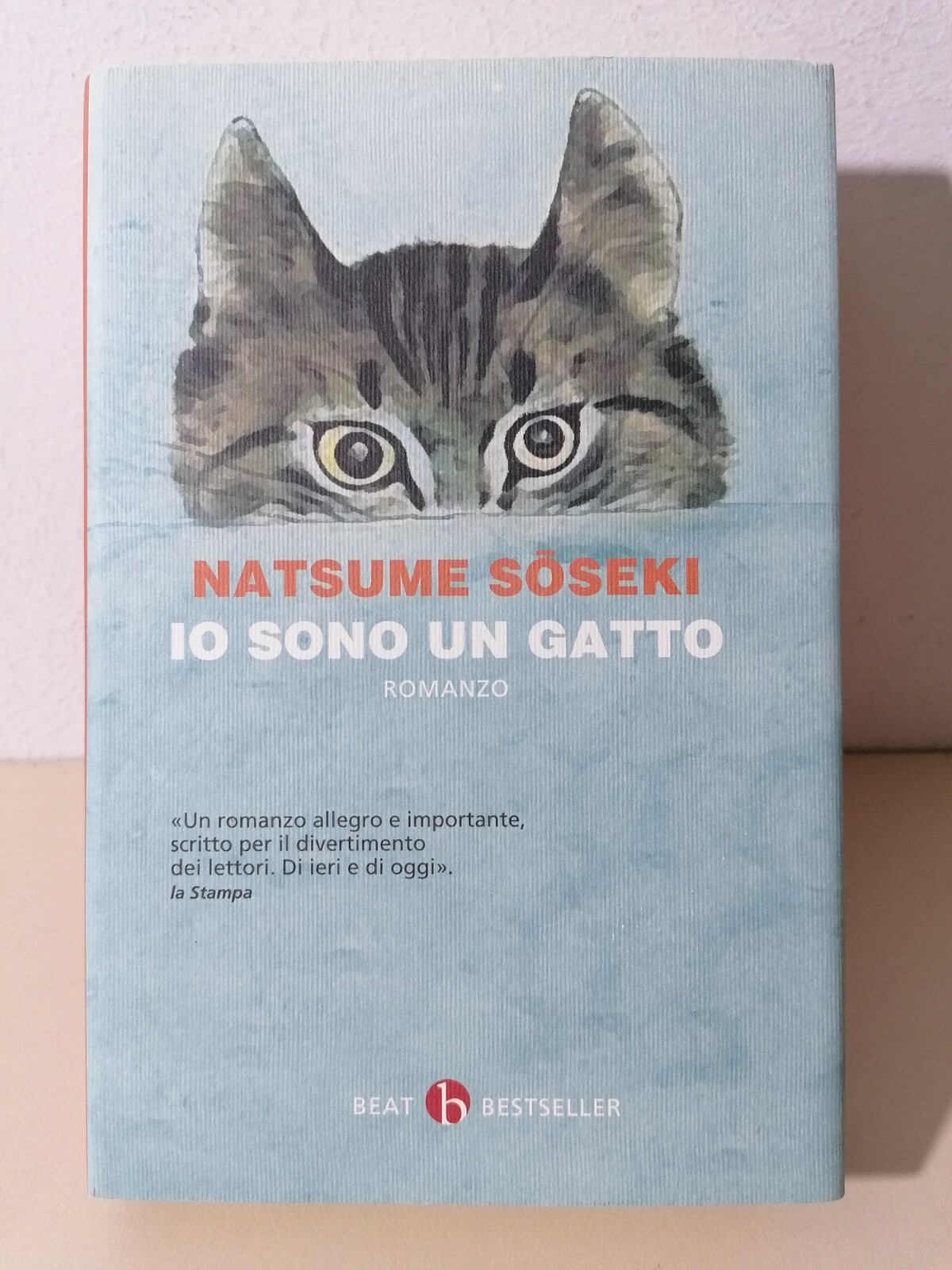 Io sono un gatto
