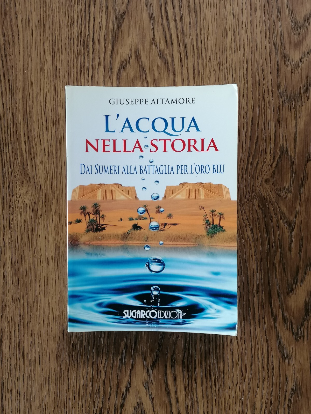 L'Acqua Nella Storia Dai Sumeri Alla Battaglia Per Oro Blu