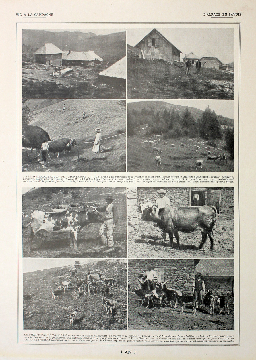 L'alpage en Savoie/Elevage de la fuine. Fronte/retro. Immagine 1927