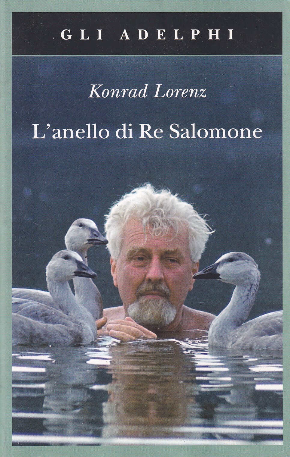 L'anello di Re Salomone