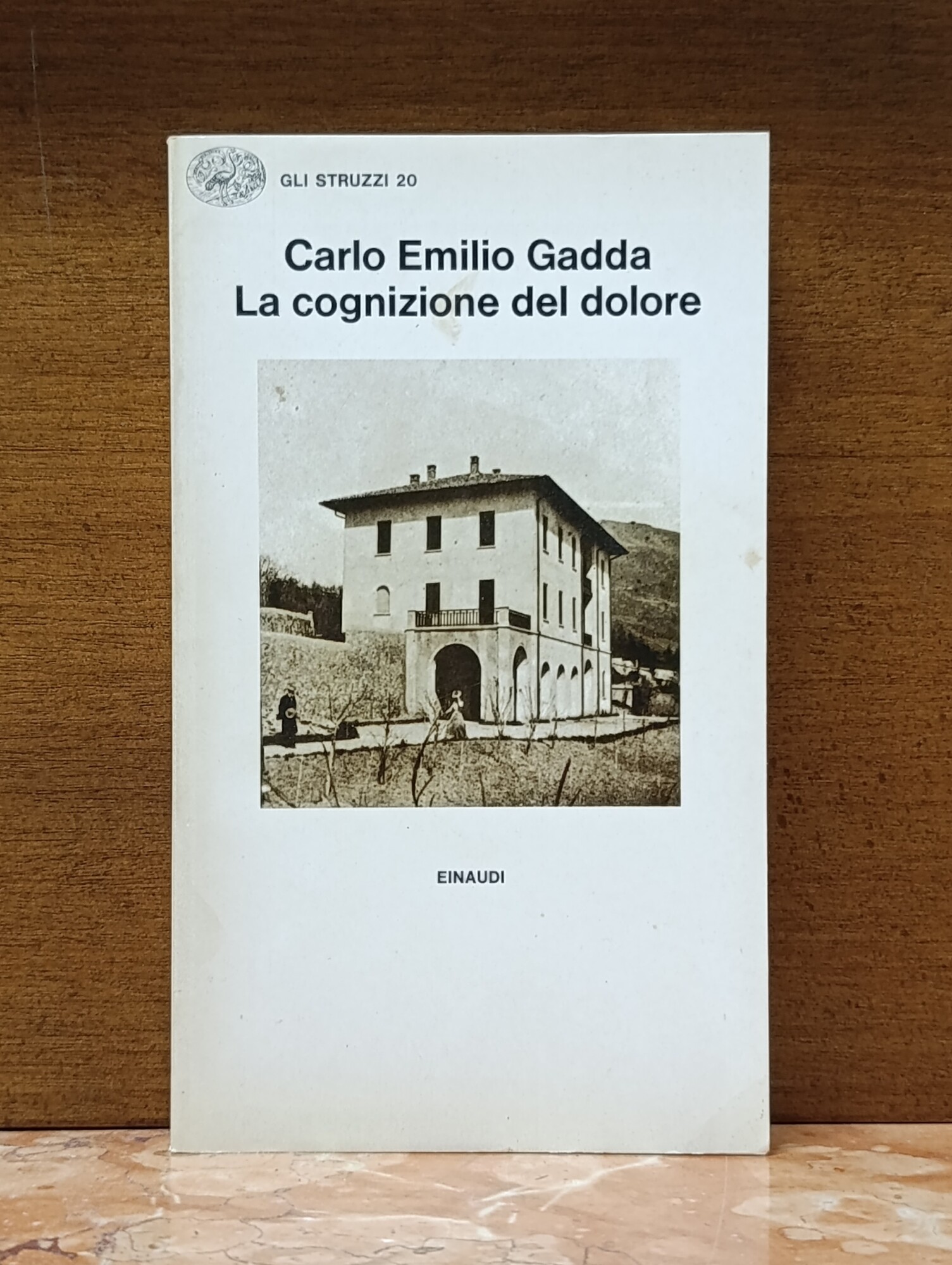 La cognizione del dolore