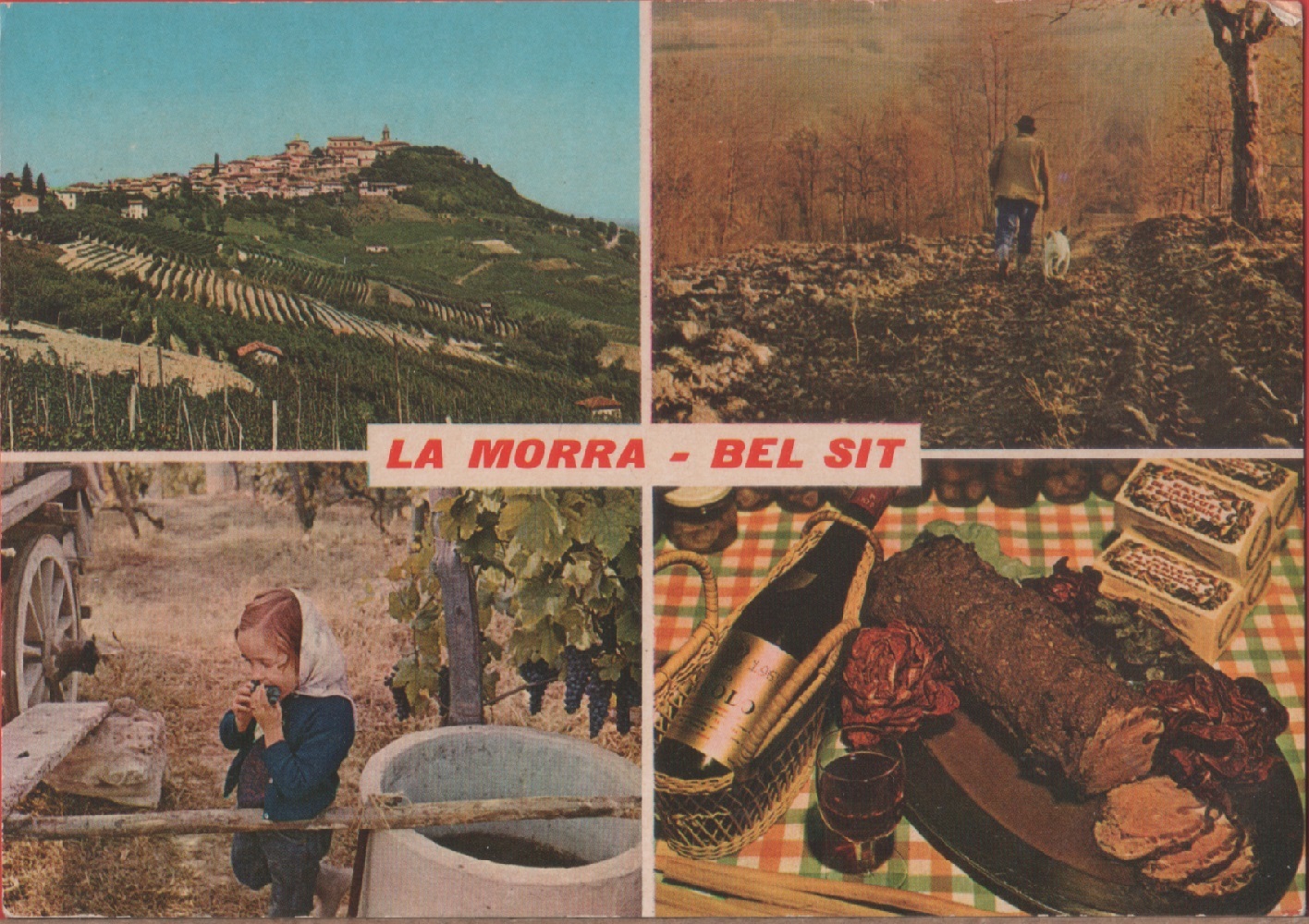 La Morra (CN). Bel Sit. Non viaggiata
