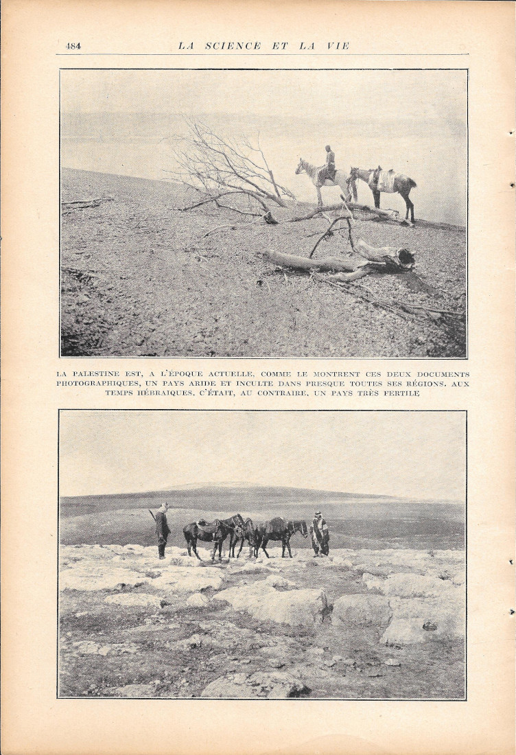 La Palestine est, a l'epoque actuelle, est un pays aride.... …