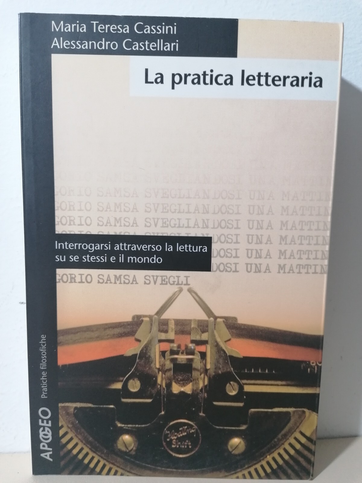 La Pratica Letteraria Libro Cassini Castellari Apogeo 2007 Lettura Letteratura