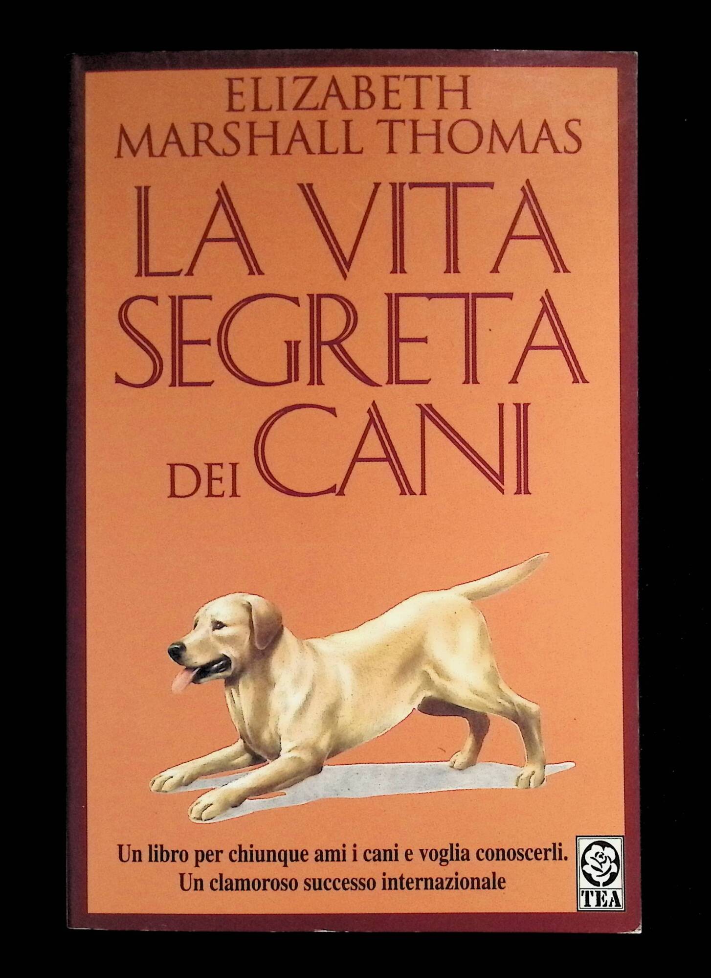 La vita segreta dei cani