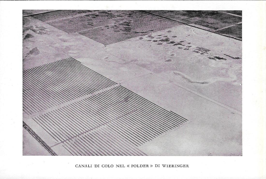 Le capre della regione del Terek. Stampa 1934