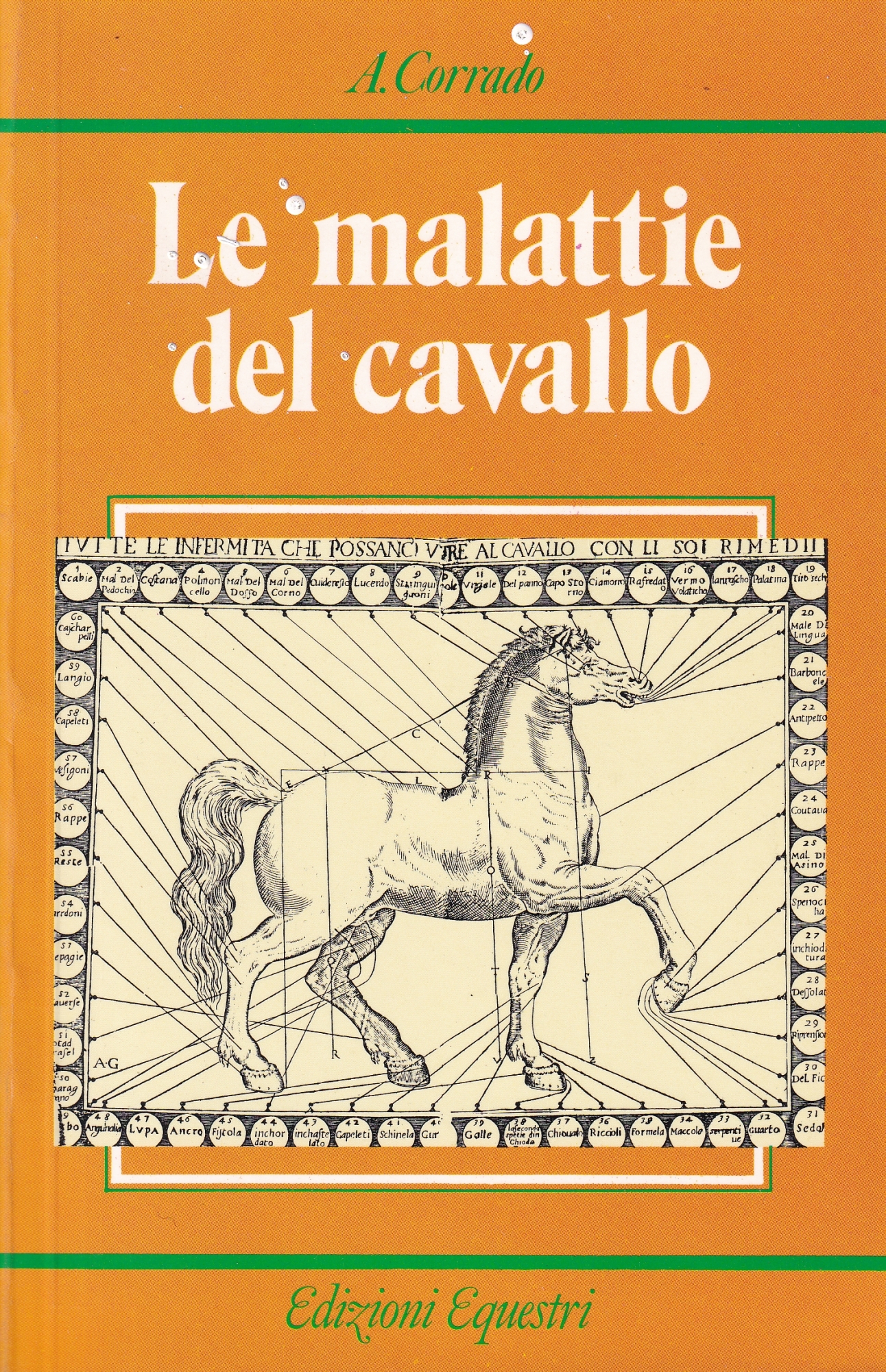 Le Malattie del Cavallo. 4^ Edizione