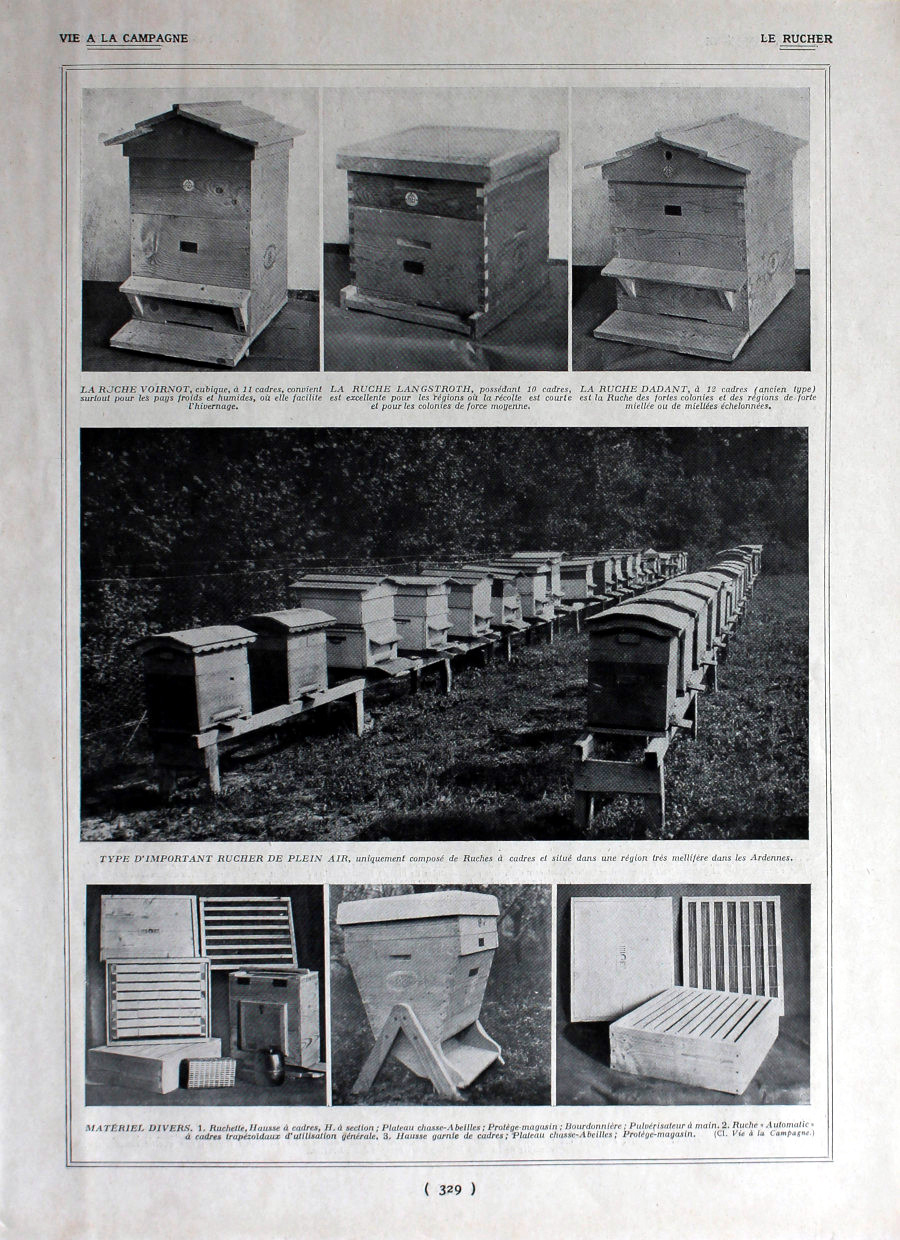 Le rucher. Immagine 1926